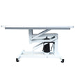 N - 201 Hydraulic Lift Grooming Table - Grooming Table
