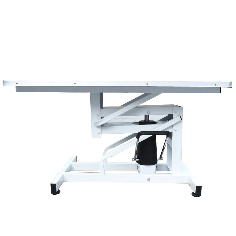 N - 201 Hydraulic Lift Grooming Table - Grooming Table